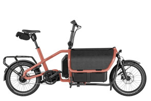 Carrie2 Cargo eBike