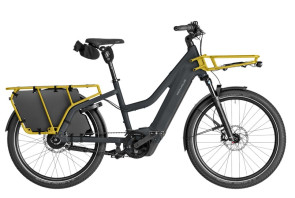 Multicharger Mixte