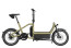 Carrie2 Cargo eBike