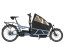 R&M Load5 60 Cargo eBike