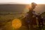 Adventure Recumbent Electric Trike