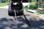 Easy Load Trike Ramp System