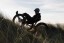 Full Fat Recumbent Electric Trike