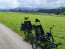 Bambuk Tandem eTrike